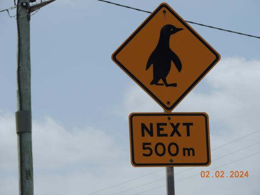 Sign Pinguin